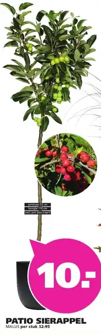 Ranzijn PATIO SIERAPPEL MALUS aanbieding