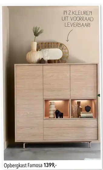 Pronto wonen Opbergkast Famosa aanbieding