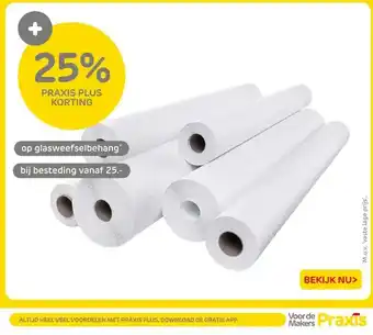 Praxis Op glasweefselbehang aanbieding