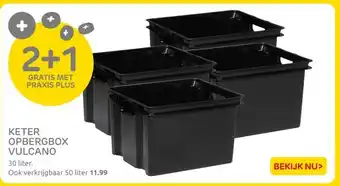 Praxis Keter opbergbox vulcano aanbieding