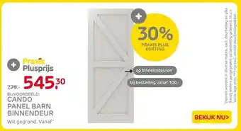 Praxis Cando panel barn binnendeur aanbieding