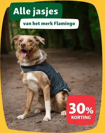Maxi Zoo Alle jasjes van het merk Flamingo aanbieding