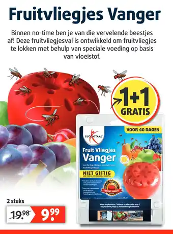 Lucovitaal Fruitvliegjes Vanger aanbieding