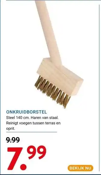 Kluswijs ONKRUIDBORSTEL aanbieding