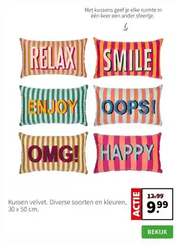 Intratuin Kussen velvet. Diverse soorten en kleuren, 30 x 50 cm. aanbieding
