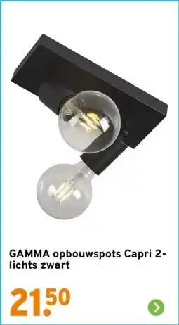 GAMMA GAMMA opbouwspots Capri 2-lichts zwart aanbieding