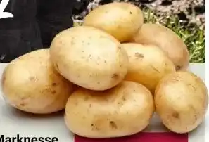 Ekoplaza ALOUETTE AARDAPPEL aanbieding