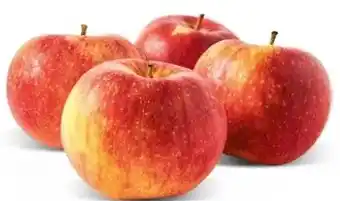 Ekoplaza SANTANA APPELS aanbieding