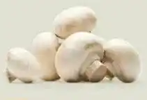 Ekoplaza WITTE CHAMPIGNONS aanbieding