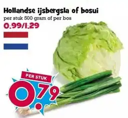 Boon`s Markt Hollandse ijsbergsla of bosui aanbieding