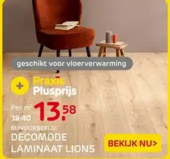 Praxis Decomode laminaat lions aanbieding