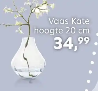 Happy@Home Vaas kate aanbieding