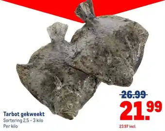 Makro Tarbot gekweekt aanbieding