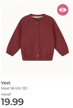 Prenatal Vest aanbieding
