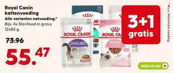 Pets Place Royal Canin kattenvoeding aanbieding