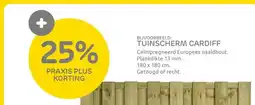 Praxis BIJVOORBEELD: TUINSCHERM CARDIFF aanbieding