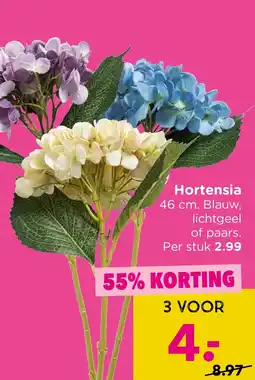 Xenos Hortensia aanbieding
