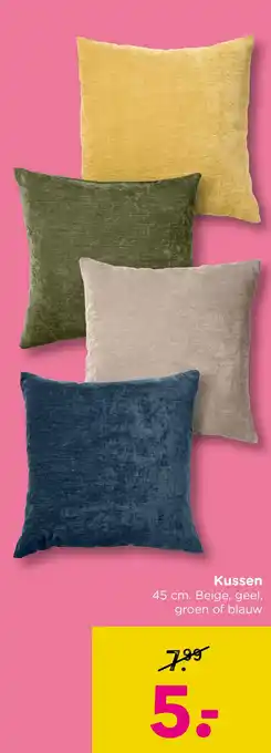 Xenos Kussen aanbieding