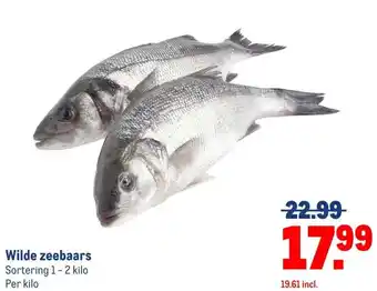 Makro Wilde zeebaars Sortering 1-2 kilo Per kilo aanbieding