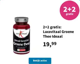 Plein.nl Lucovitaal Groene Thee Ideaal aanbieding
