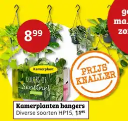 Tuinland Kamerplanten hangers aanbieding