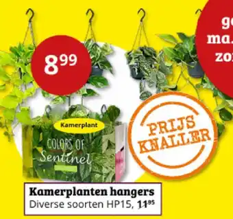 Tuinland Kamerplanten hangers aanbieding