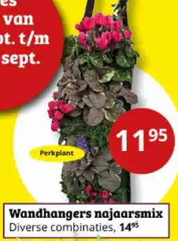 Tuinland Wandhangers najaarsmix aanbieding