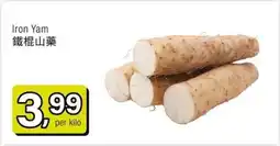 Amazing Oriëntal Iron Yam aanbieding