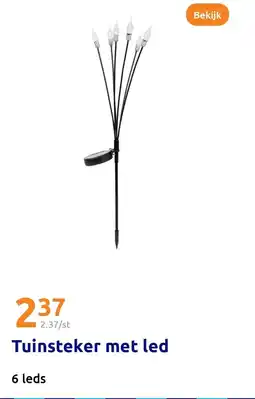 Action Tuinsteker met led aanbieding
