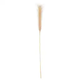 IKEA Beige pampagrasplant, smycka-serie, gevederde pluimen, gerecyclede materialen aanbieding