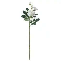 IKEA Kunstmatige witte roos met groene bladeren, stengels en knoppen. Gemaakt van gerecyclede materialen aanbieding