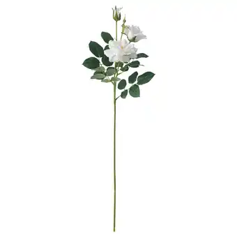 IKEA Kunstmatige witte roos met groene bladeren, stengels en knoppen. Gemaakt van gerecyclede materialen aanbieding