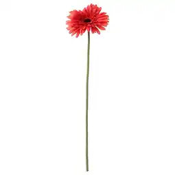 IKEA Enkel rood kunstgerbera-madeliefje met groene steel aanbieding