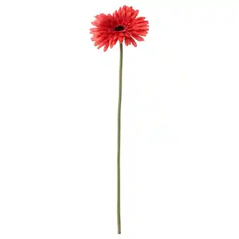 IKEA Enkel rood kunstgerbera-madeliefje met groene steel aanbieding