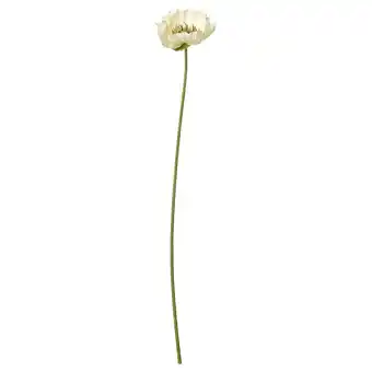 IKEA Witte smycka kunstbloem met groene steel aanbieding