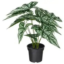IKEA De fejka kunstplant in groen en wit bont blad, gepot in zwarte container aanbieding