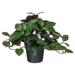 IKEA Fejka potplant. Groene, hartvormige bladeren. Realistische, gerecyclede materialen aanbieding