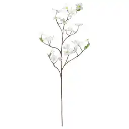 IKEA Witte kunstmatige kornoelje tak met bloemen, gemaakt van gerecycled plastic aanbieding