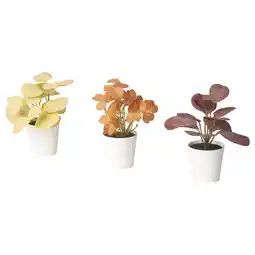 IKEA Drie potplanten in witte bakken, verschillende kleuren: geel, oranje en rood, met brede bladeren aanbieding