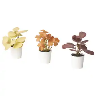 IKEA Drie potplanten in witte bakken, verschillende kleuren: geel, oranje en rood, met brede bladeren aanbieding