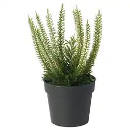 IKEA Fejka plant, groen-wit, gepot in zwart gerecycled plastic, realistisch ontwerp aanbieding