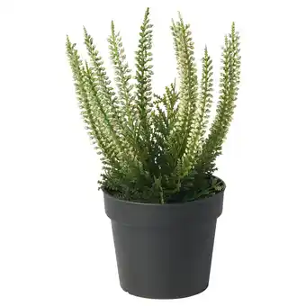 IKEA Fejka plant, groen-wit, gepot in zwart gerecycled plastic, realistisch ontwerp aanbieding