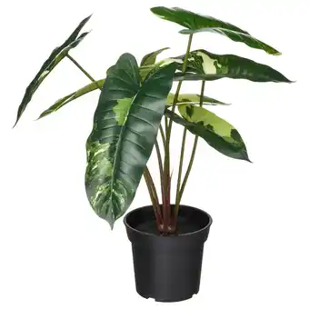 IKEA Fejka potplant, groen, plastic, grote bladeren, witte achtergrond aanbieding