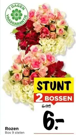 Vomar Voordeelmarkt Rozen aanbieding