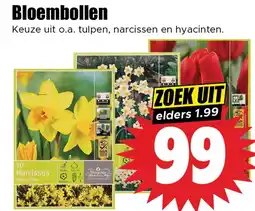 Dirk Bloembollen aanbieding