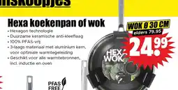 Dirk Hexa koekenpan of wok aanbieding