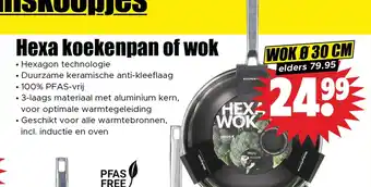 Dirk Hexa koekenpan of wok aanbieding