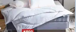 ALDI Emma Dekbed aanbieding