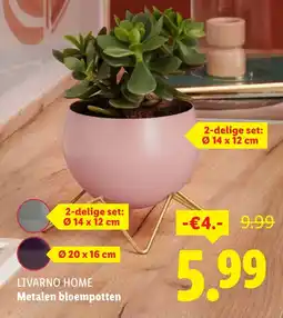 Lidl Livarno home Metalen bloempotten aanbieding