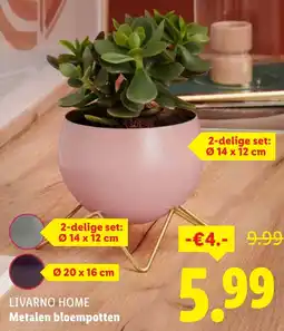 Lidl Livarno home metalen bloempotten aanbieding